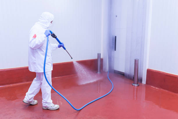 Best Solar Panel Cleaning  in Mira Monte, CA